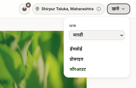 Account menu — language, dashboard, profile and logout.